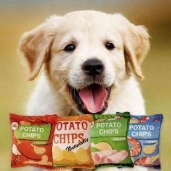 Unbranded Dog Squeak Toy Cute Plushes Chew Toy Pour Chiot Teething Stuffed Snacks Bag -Pet Soin 837676798 max