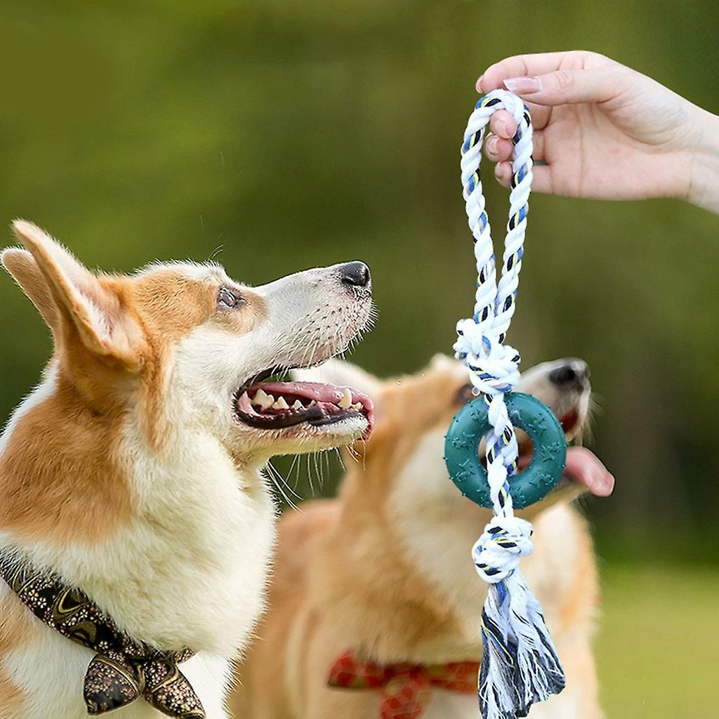 Unbranded Dog Molar Toy Interactive Chasing Toy Prevent Obesity Tug Game 2 Unbranded Dog Molar Toy Interactive Chasing Toy Prevent Obesity Tug Game – Image 2