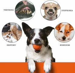Lahean 2 Pièces Ball Dog Chew Toys Soft Latex Puppy Durable Football Dog Treat Balls -Pet Soin 846113905 max