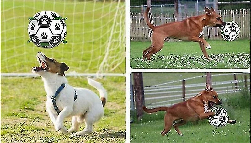 Mysight Dog Ball Border Collie Toys Dog Training Special Ball Pet Ball 2 Mysight Dog Ball Border Collie Toys Dog Training Special Ball Pet Ball – Image 2