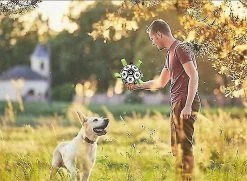 Mysight Dog Ball Border Collie Toys Dog Training Special Ball Pet Ball 5 Mysight Dog Ball Border Collie Toys Dog Training Special Ball Pet Ball -Pet Soin 846418098 max