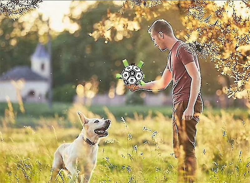 Mysight Dog Ball Border Collie Toys Dog Training Special Ball Pet Ball 3 Mysight Dog Ball Border Collie Toys Dog Training Special Ball Pet Ball – Image 3