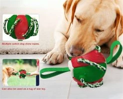 Mysight Dog Toy Soucoupe Volante Entraînement En Plein Air Football Interactif -Pet Soin 846428504 max