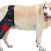 Unbranded Attelle De Genou De Chien Attelle De Jambe De Chien Pour Déchiré Acl Patte Arrière Chien Hip Support Brace, Dog Acl Knee Brace Réglable