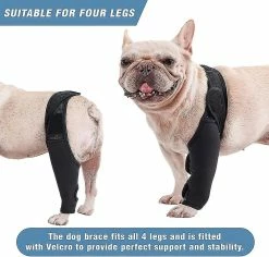 Unbranded Attelle De Genou De Chien Attelle De Jambe De Chien Pour Déchiré Acl Patte Arrière Chien Hip Support Brace, Dog Acl Knee Brace Réglable -Pet Soin 846527744 max