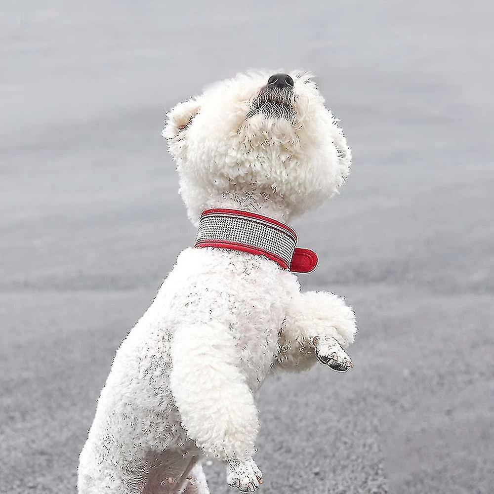 Unbranded Collier Pour Chien Réfléchissant Medium Large Dog Glitter Suede W / Strass, Cravate Pour Animaux De Compagnie Collier Réfléchissant Pour Animaux De Compagnie (1 Piecepink S) 4 Unbranded Collier Pour Chien Réfléchissant Medium Large Dog Glitter Suede W / Strass, Cravate Pour Animaux De Compagnie Collier Réfléchissant Pour Animaux De Compagnie (1 Piecepink S) – Image 4