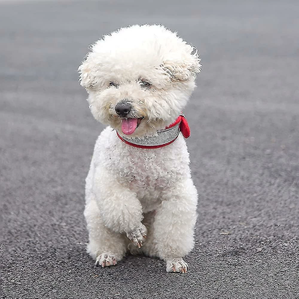 Unbranded Collier Pour Chien Réfléchissant Medium Large Dog Glitter Suede W / Strass, Cravate Pour Animaux De Compagnie Collier Réfléchissant Pour Animaux De Compagnie (1 Piecepink S) 5 Unbranded Collier Pour Chien Réfléchissant Medium Large Dog Glitter Suede W / Strass, Cravate Pour Animaux De Compagnie Collier Réfléchissant Pour Animaux De Compagnie (1 Piecepink S) – Image 5