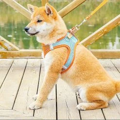 Unbranded Pet Dog Cat Harness Puppy Kitten Réglable Reflective Breathable Vest Harness (1 Pièce, Orange -Pet Soin 846685702 max