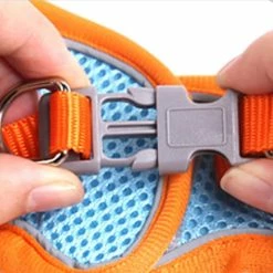 Unbranded Pet Dog Cat Harness Puppy Kitten Réglable Reflective Breathable Vest Harness (1 Pièce, Orange -Pet Soin 846685805 max