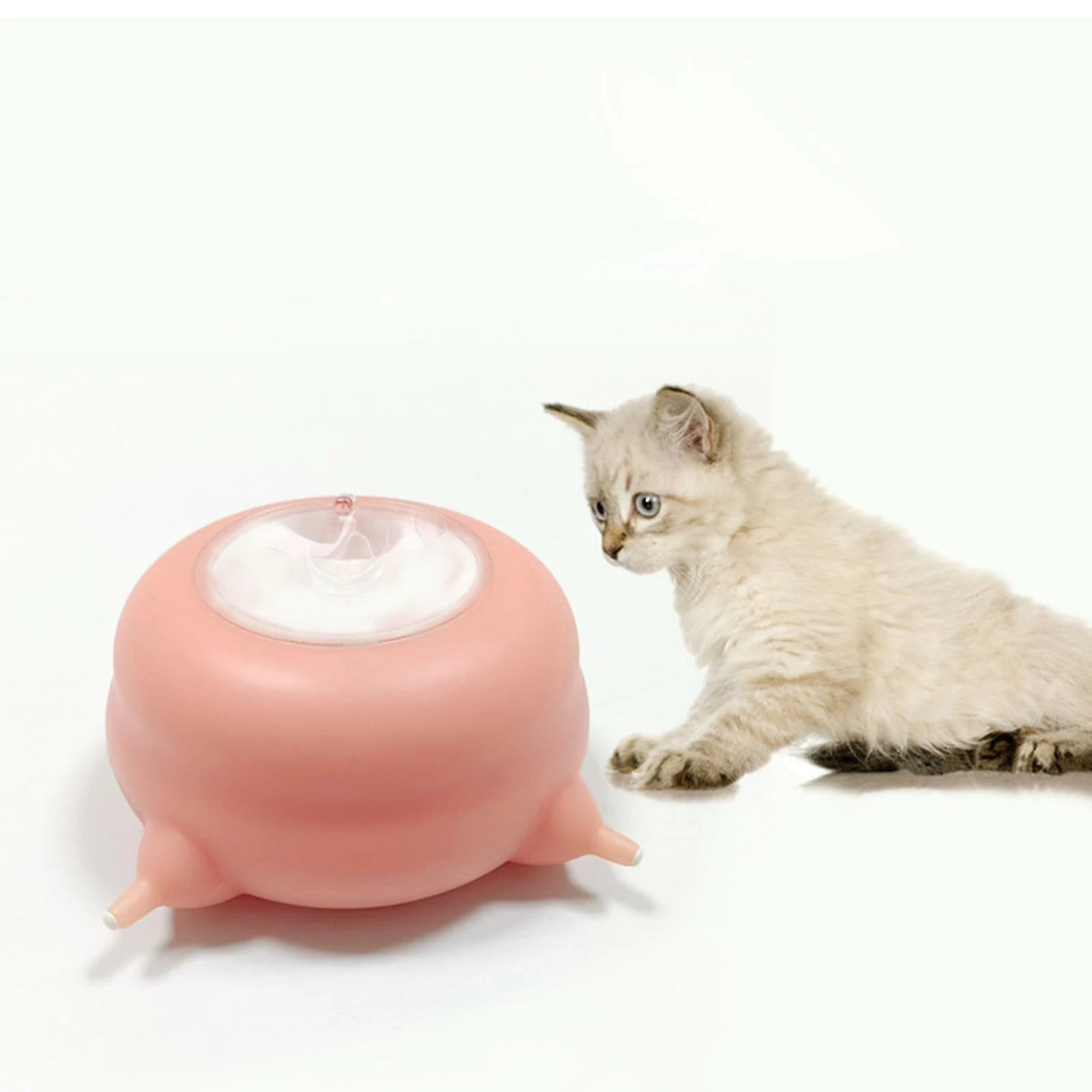 Unbranded Puppy Kitten Feeder Silicone Milk Feeding Whelping Dog Bowl 200ml Pink1pcs 2 Unbranded Puppy Kitten Feeder Silicone Milk Feeding Whelping Dog Bowl 200ml Pink1pcs – Image 2