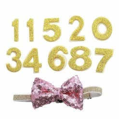 Unbranded 1set Pet Dog Tie