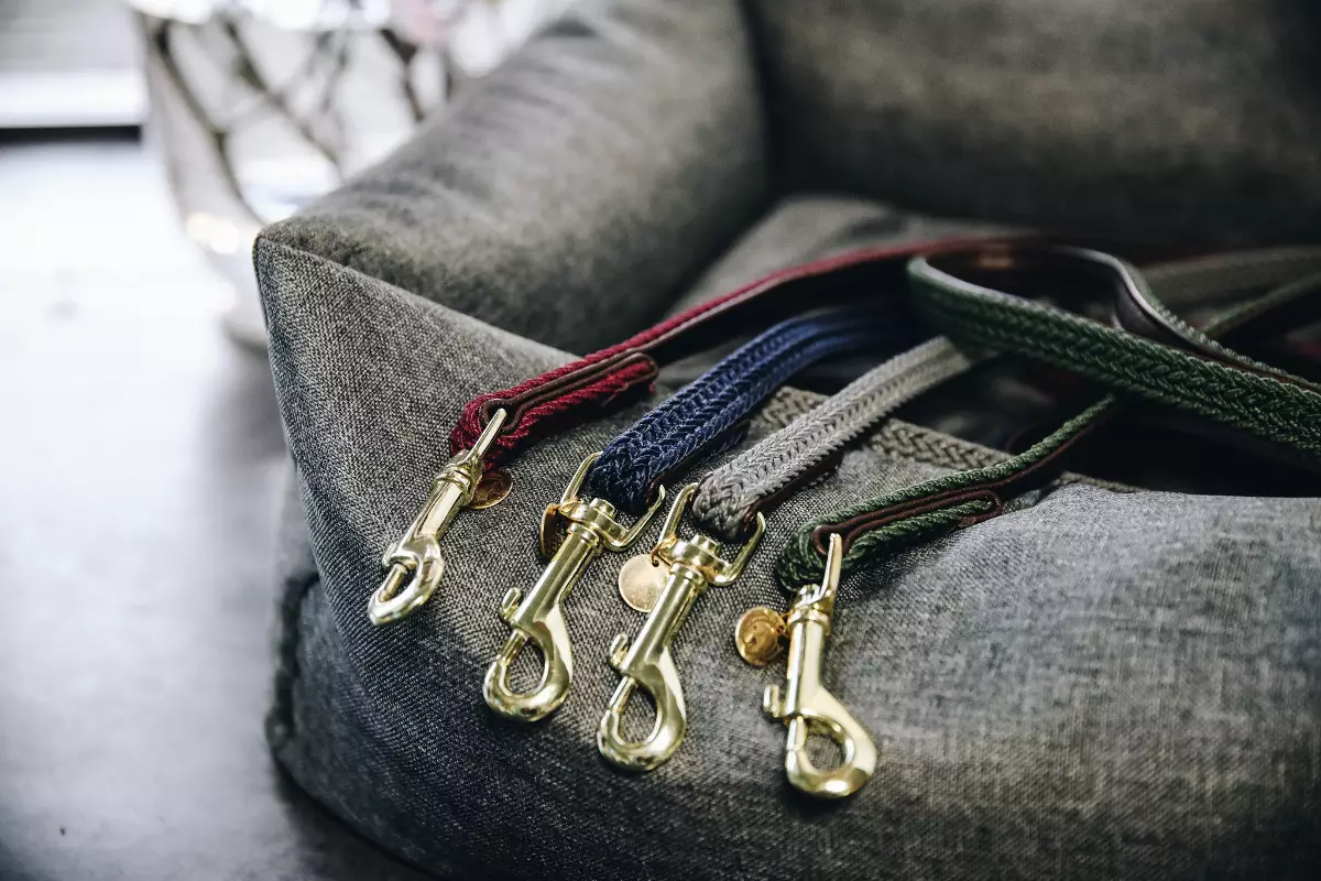 Pet Soin 34 Pet Soin -Pet Soin laisse chien kentucky horsewear